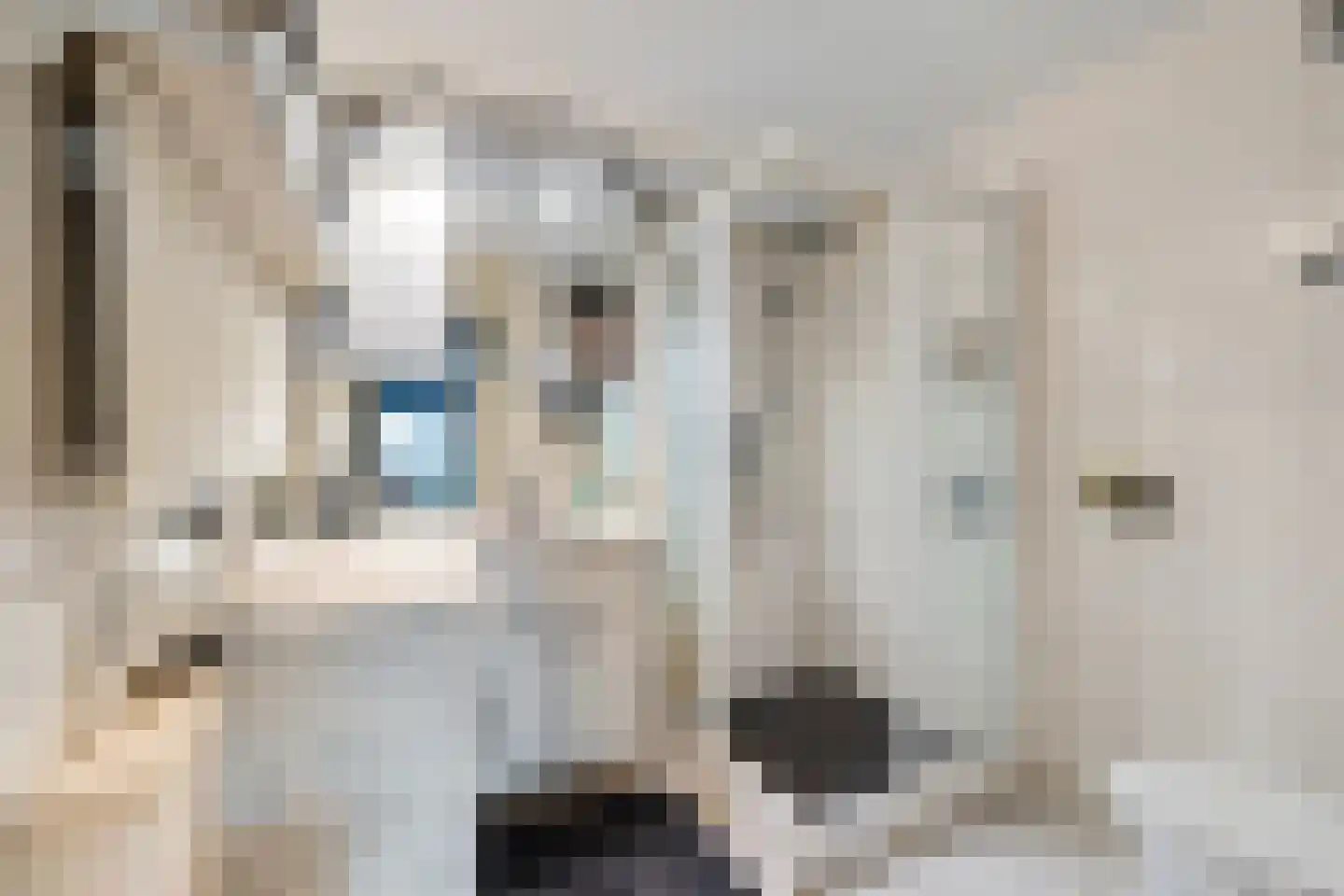 De Vang 27 Buitenpost thumbnail 21