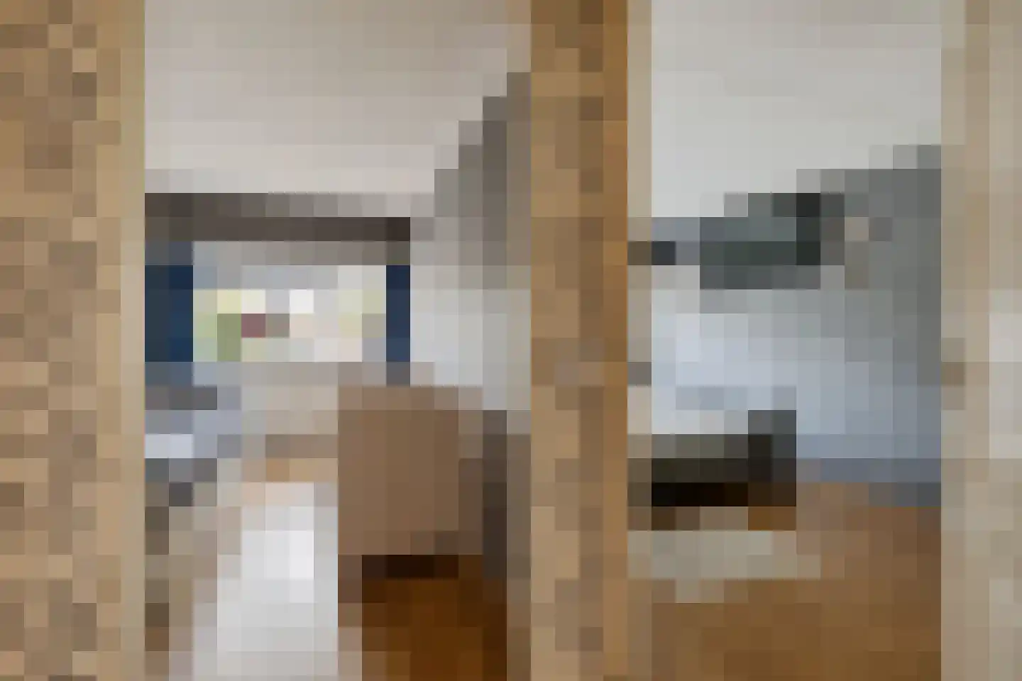 De Vang 27 Buitenpost thumbnail 25