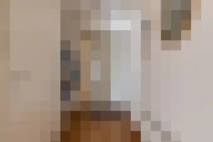 De Vang 28 Geldermalsen thumbnail 17
