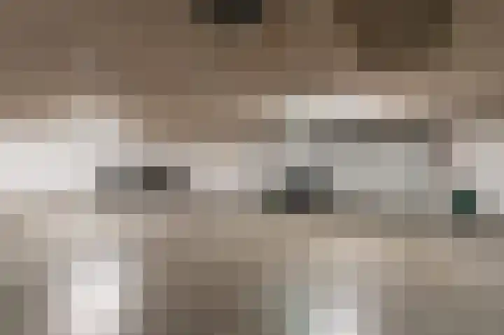 De Vang 28 Geldermalsen thumbnail 21