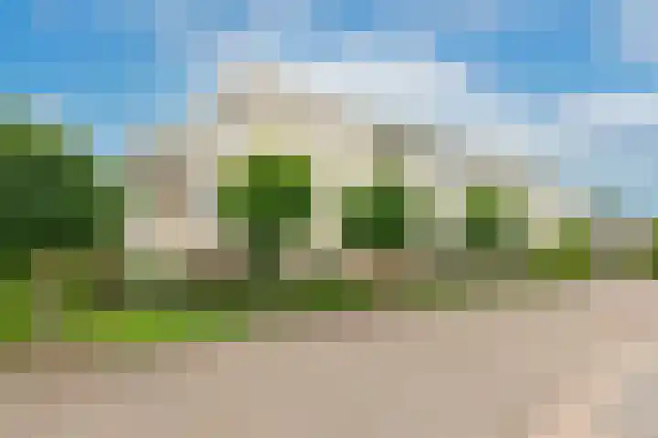 De Vang 28 Geldermalsen thumbnail 22