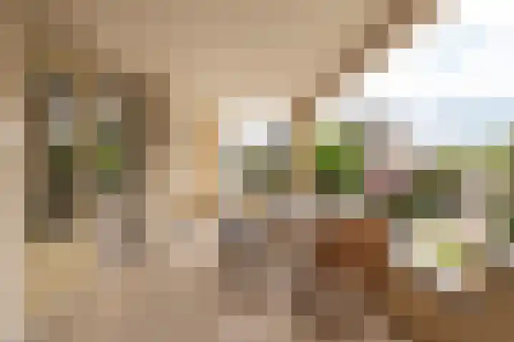 De Vang 28 Geldermalsen thumbnail 4