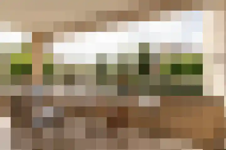 De Vang 28 Geldermalsen thumbnail 5