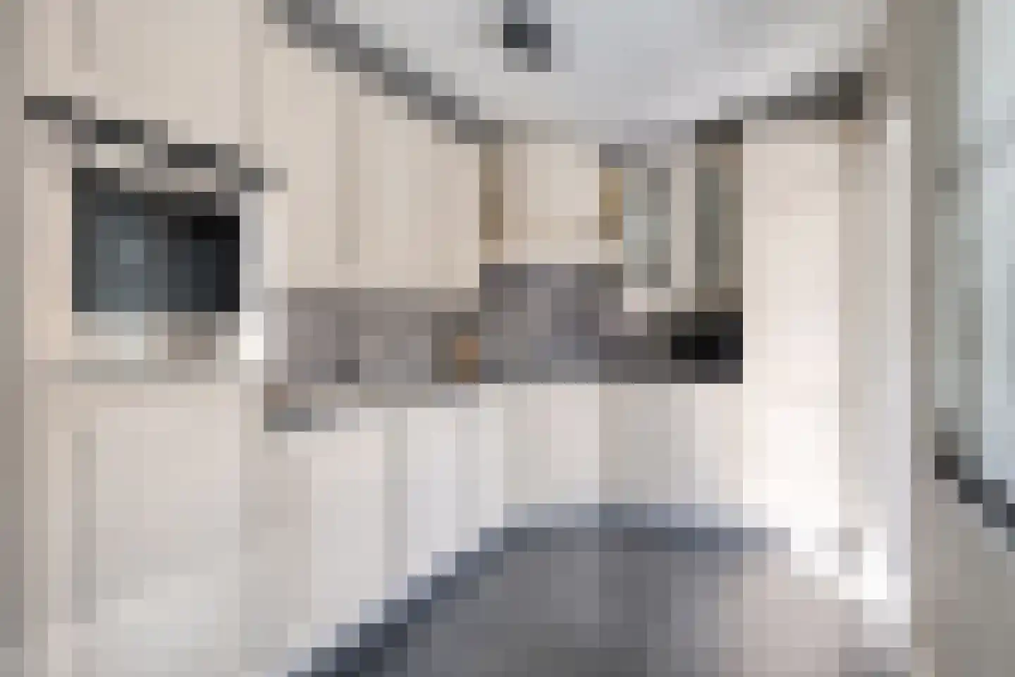 de Vang 3 Lieshout thumbnail 10