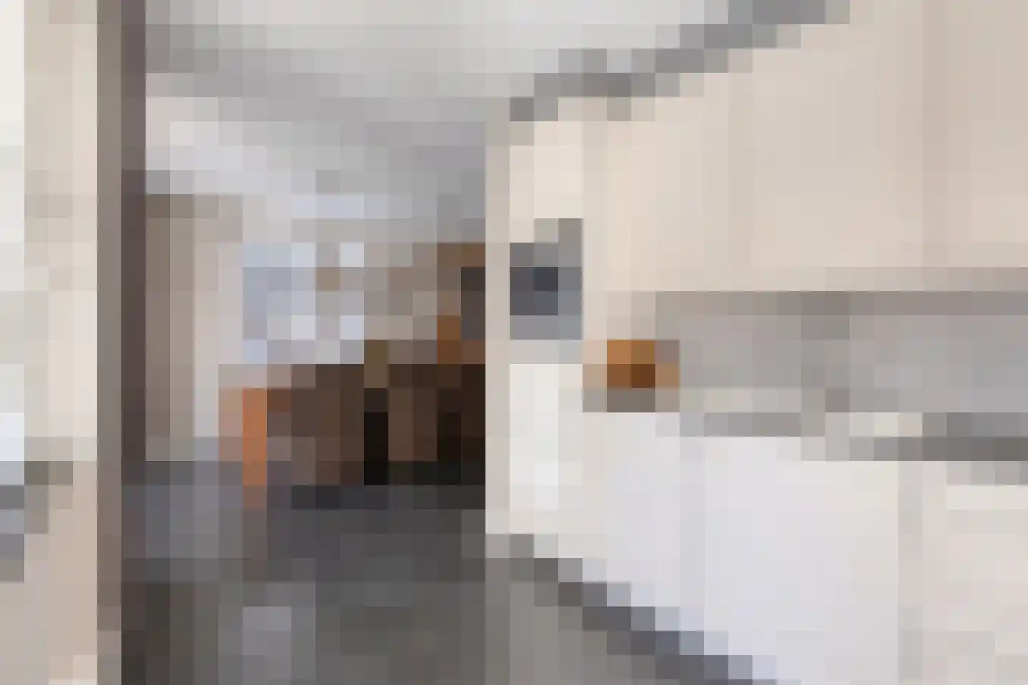 de Vang 3 Lieshout thumbnail 12