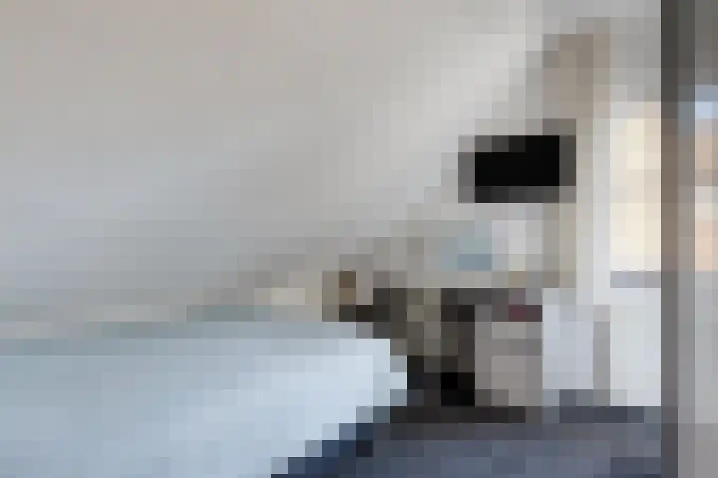 de Vang 3 Lieshout thumbnail 23