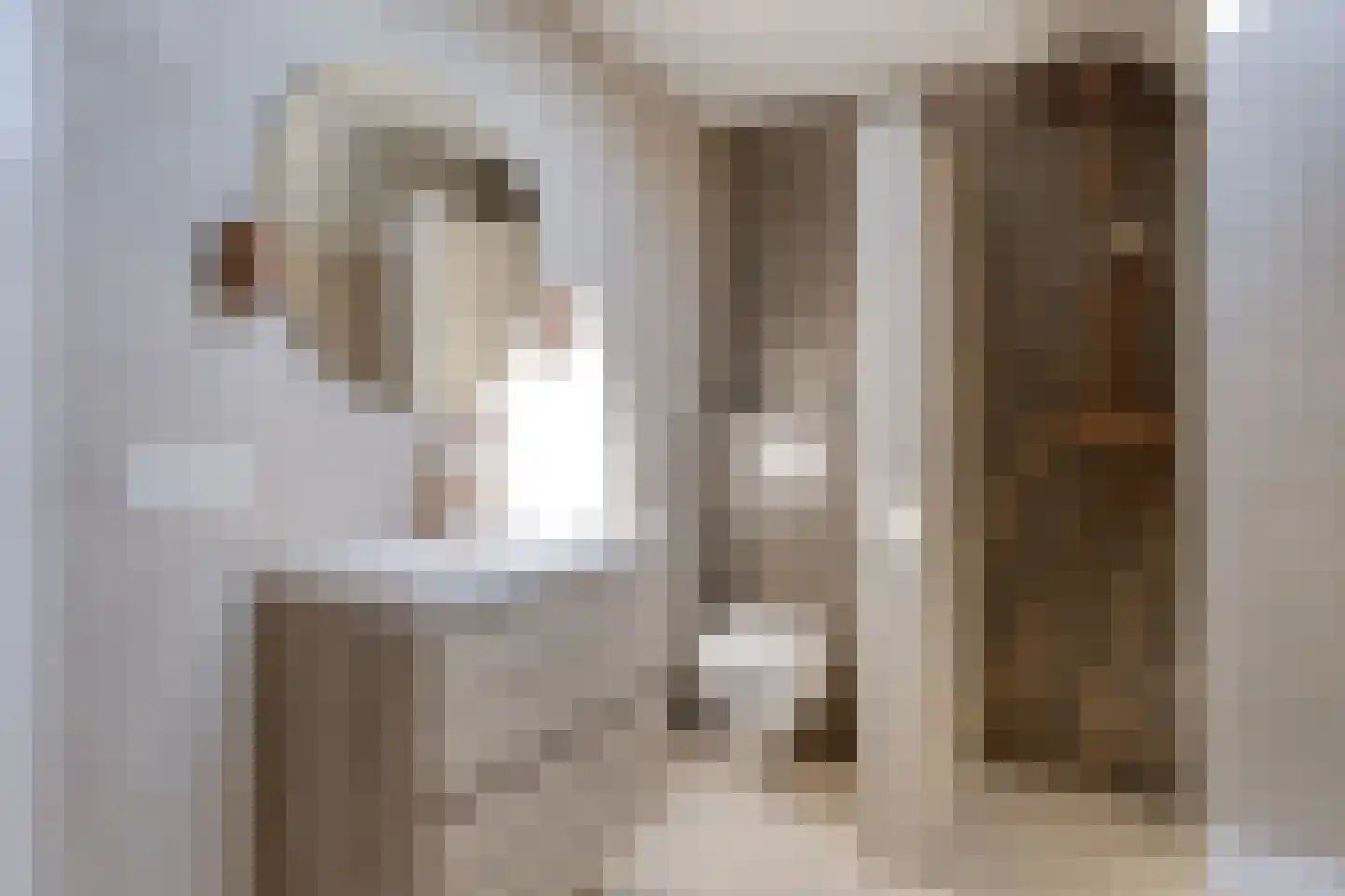 de Vang 3 Lieshout thumbnail 25