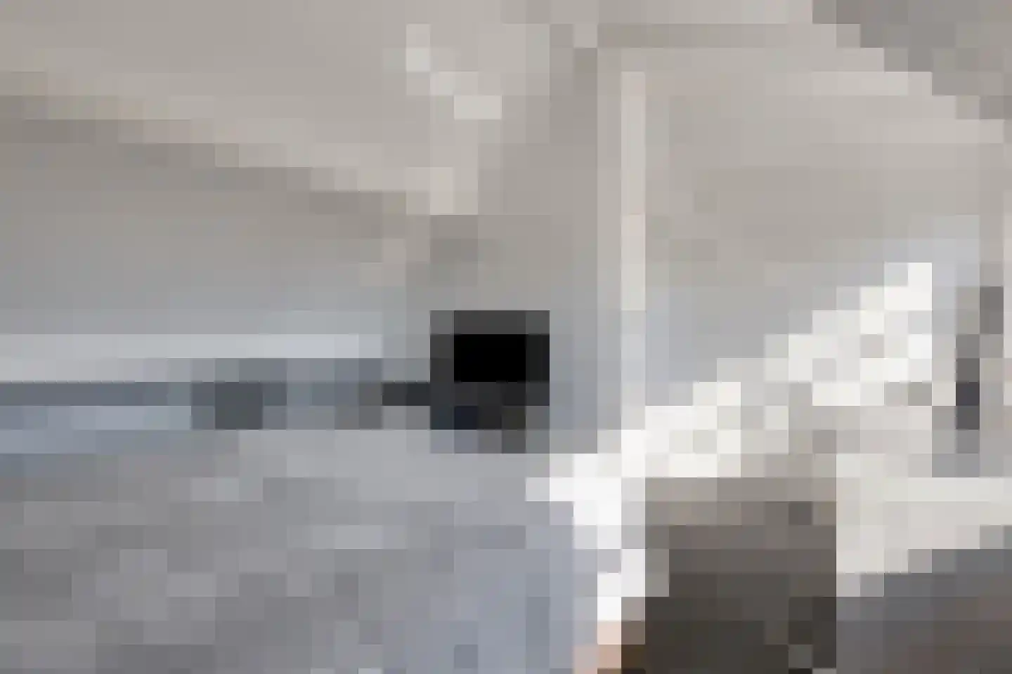 de Vang 3 Lieshout thumbnail 30