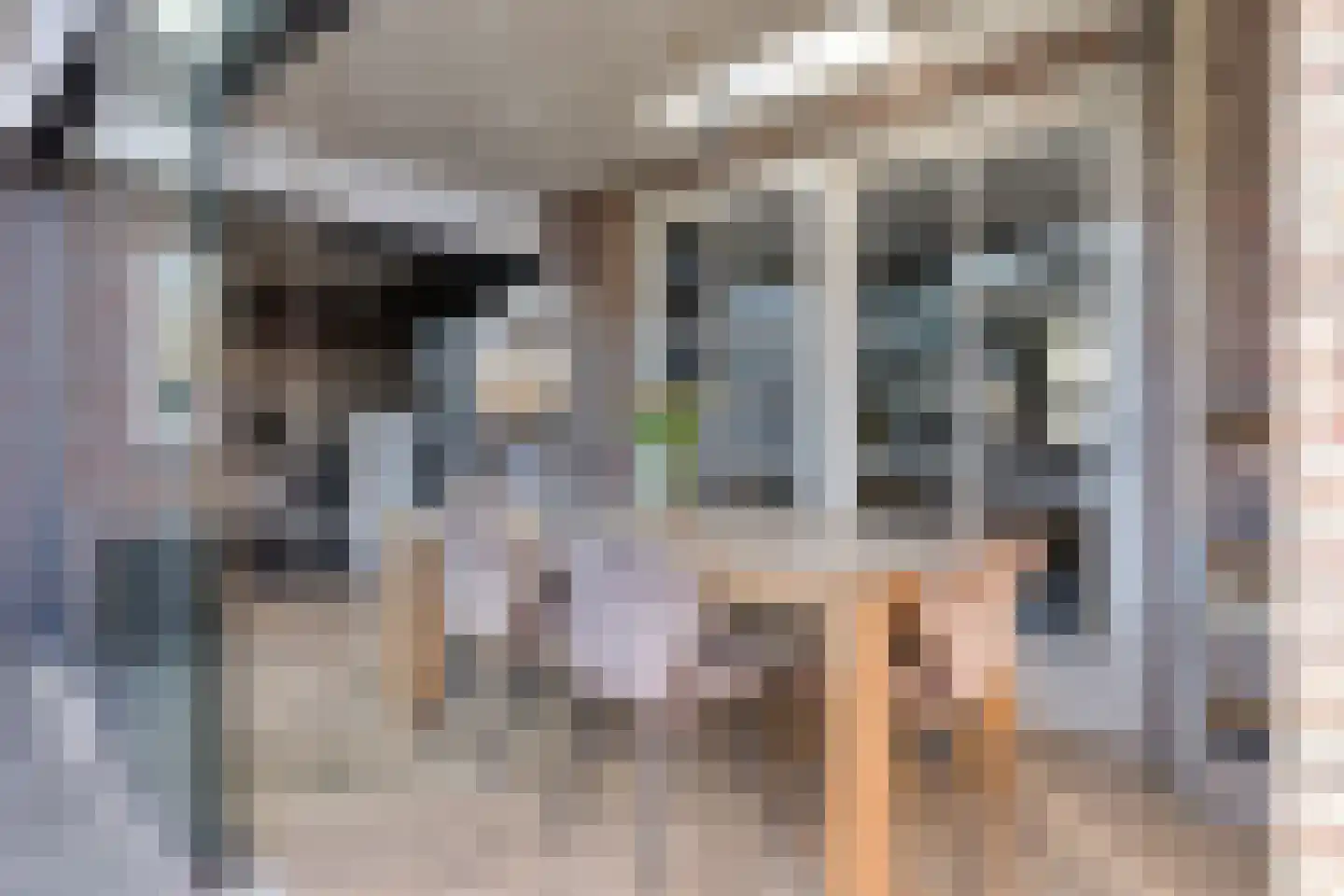 de Vang 3 Lieshout thumbnail 36