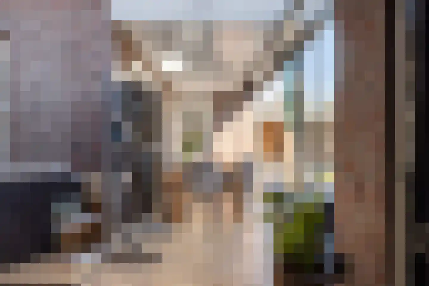 de Vang 3 Lieshout thumbnail 38