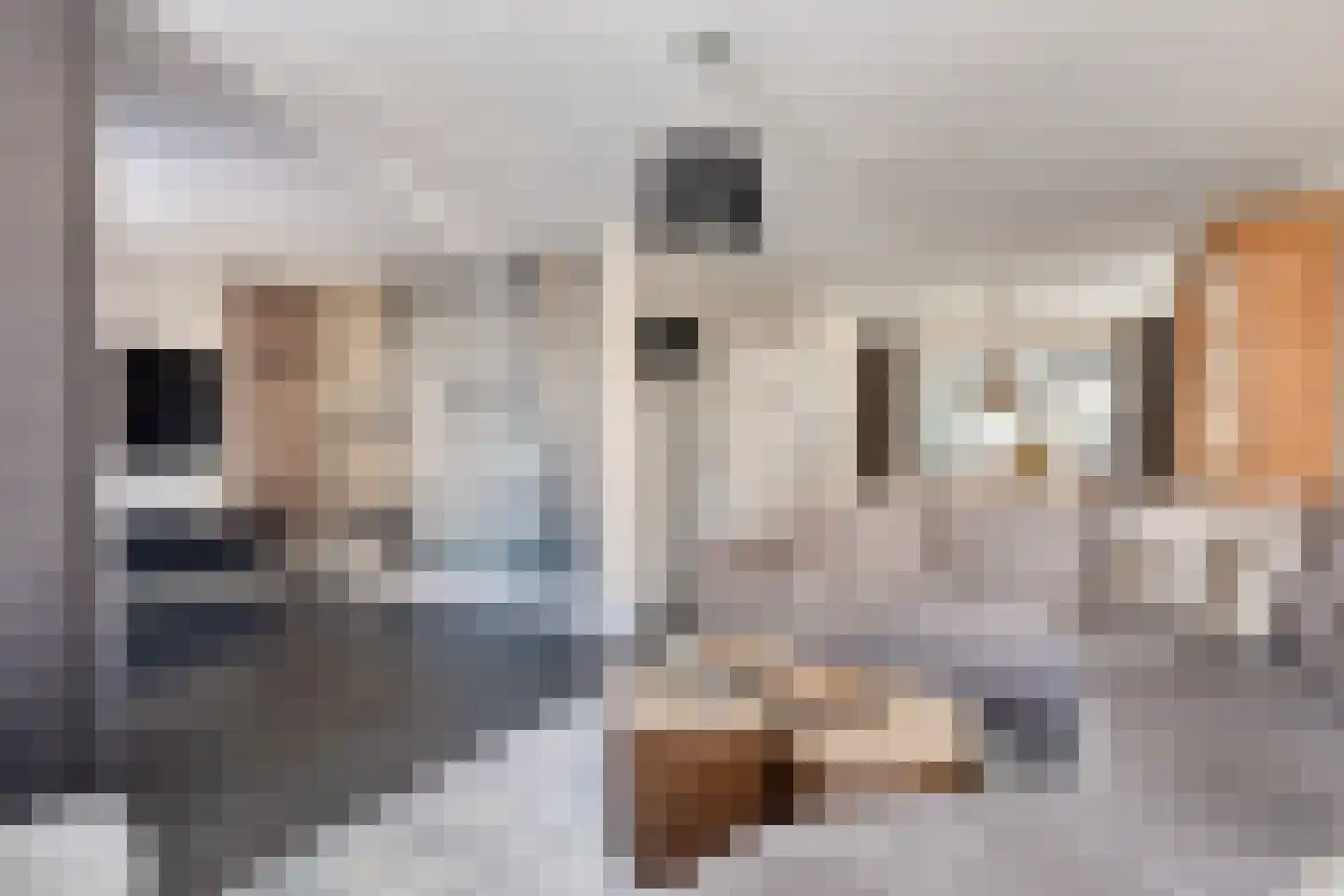 de Vang 3 Lieshout thumbnail 6