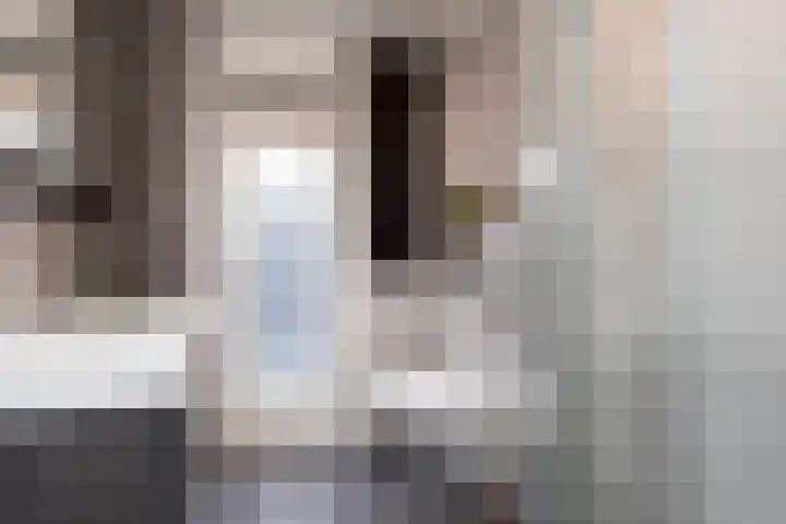 de Vang 3 Sneek thumbnail 13