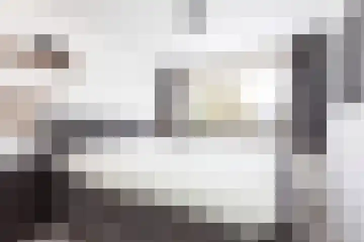 de Vang 3 Sneek thumbnail 16