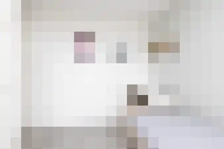 de Vang 3 Sneek thumbnail 19