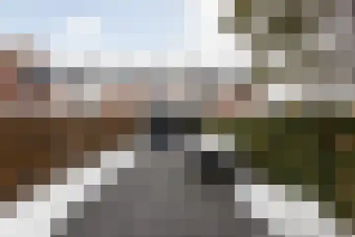 de Vang 3 Sneek foto 2