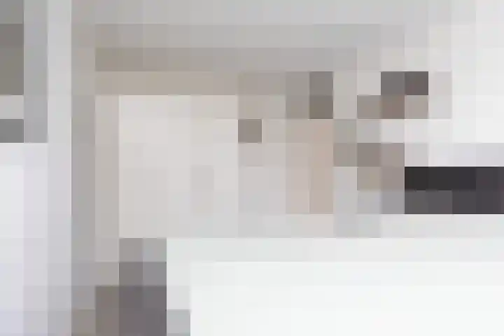 de Vang 3 Sneek thumbnail 20