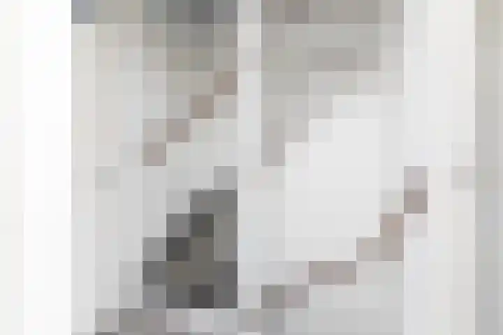 de Vang 3 Sneek thumbnail 22
