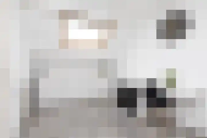 de Vang 3 Sneek thumbnail 25