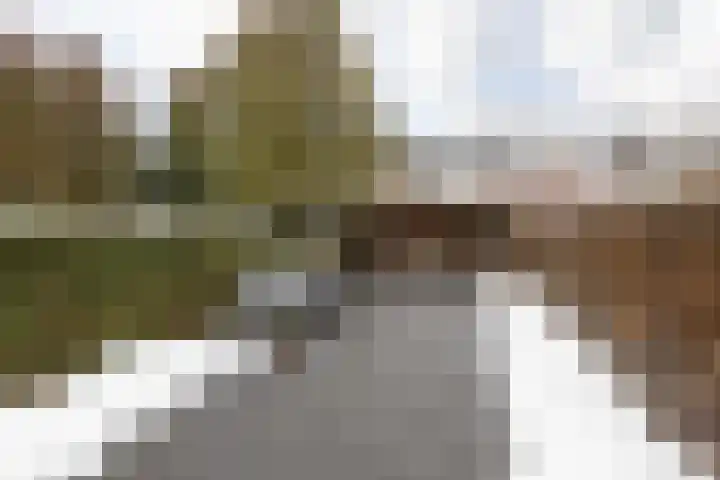 de Vang 3 Sneek thumbnail 27