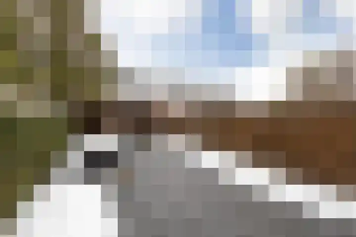 de Vang 3 Sneek thumbnail 28
