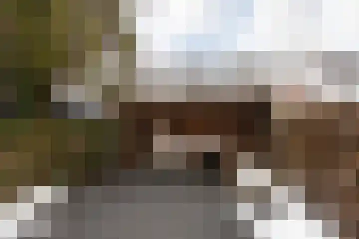 de Vang 3 Sneek thumbnail 29