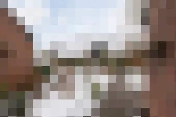 de Vang 3 Sneek thumbnail 33