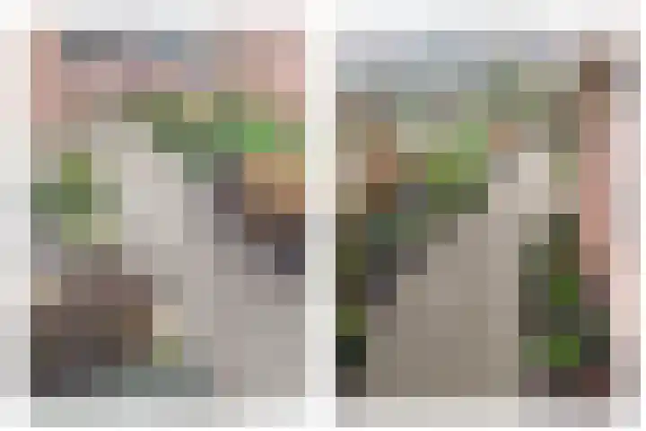 de Vang 3 Sneek thumbnail 35