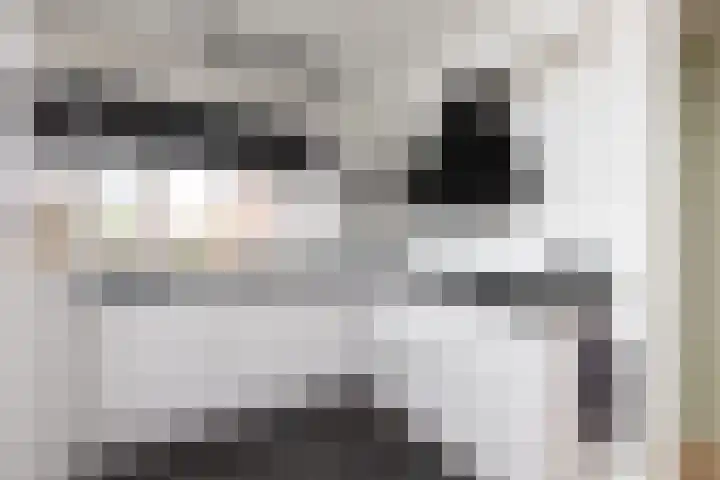 de Vang 3 Sneek thumbnail 8