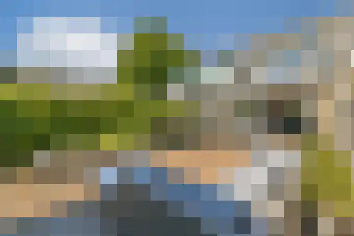 De Vang 31 Mijdrecht thumbnail 11