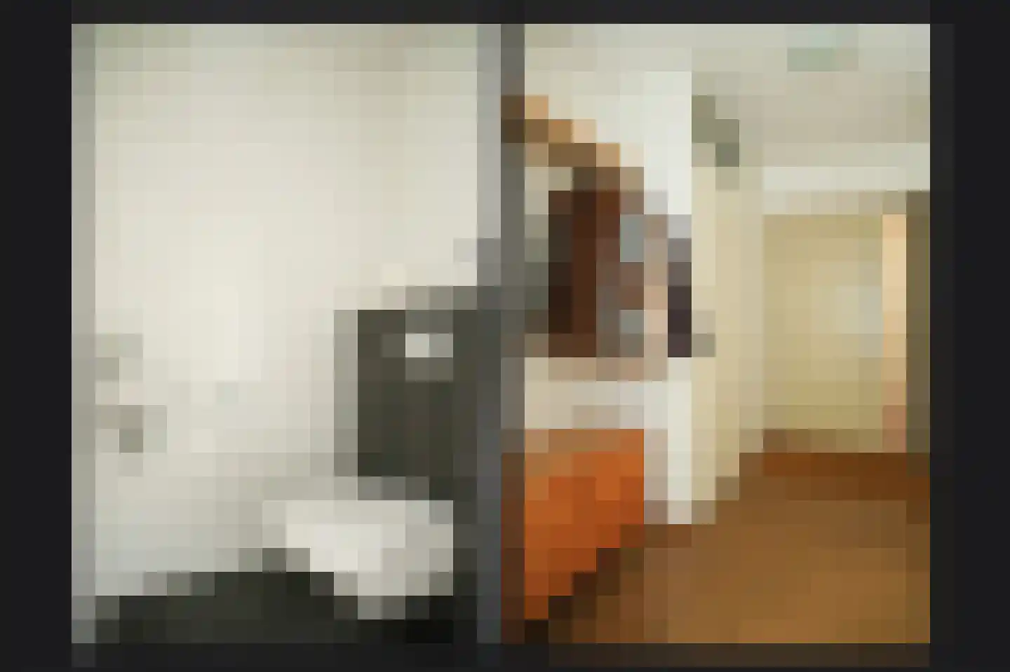 De Vang 34 Geldermalsen thumbnail 27