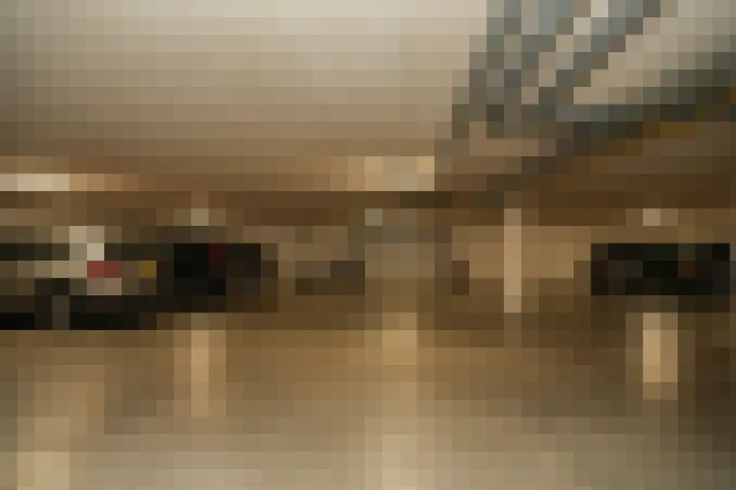 De Vang 34 Geldermalsen thumbnail 34