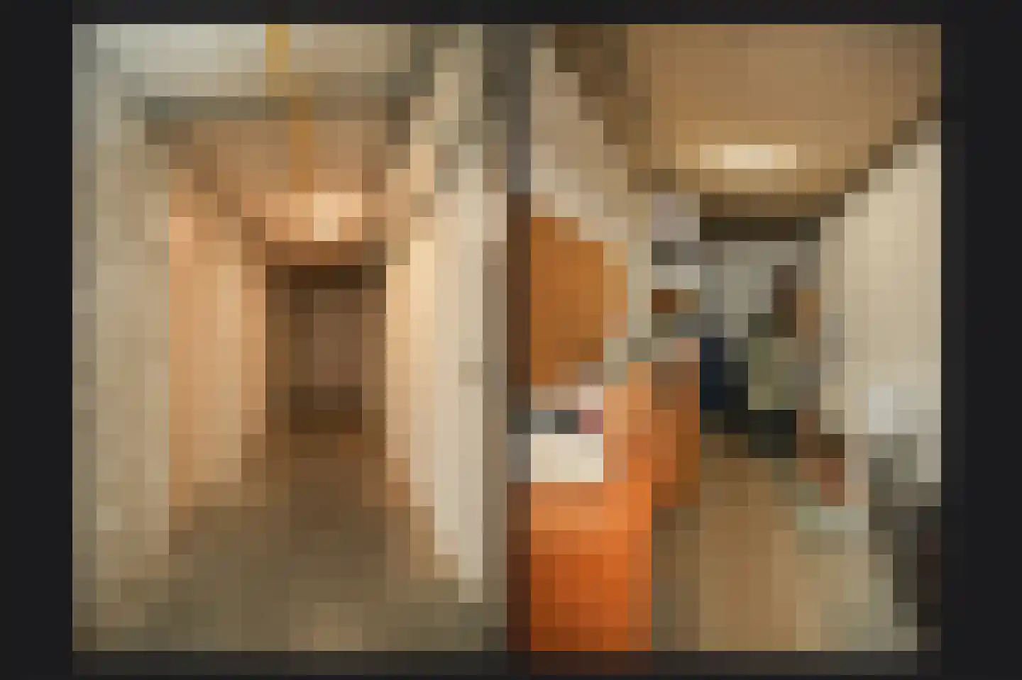 De Vang 34 Geldermalsen thumbnail 37