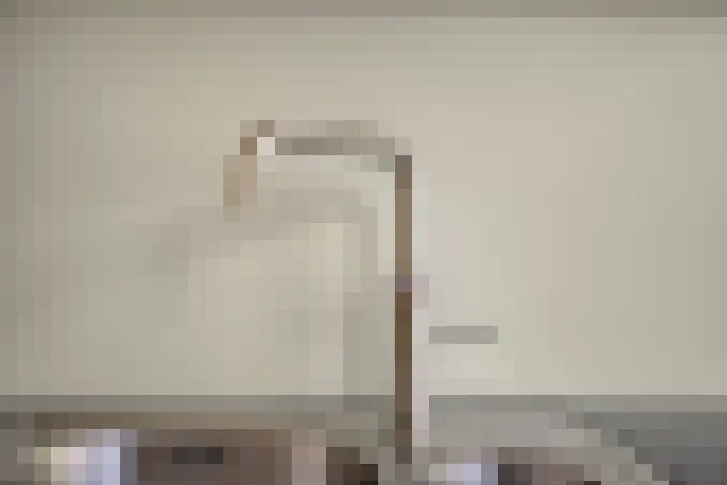 de Vang 43 Bergeijk thumbnail 17