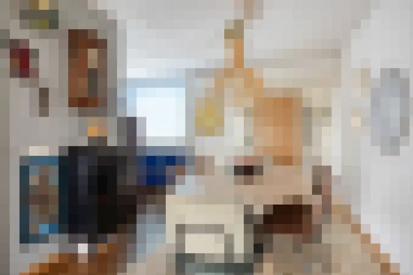 de Vang 43 Bergeijk thumbnail 17