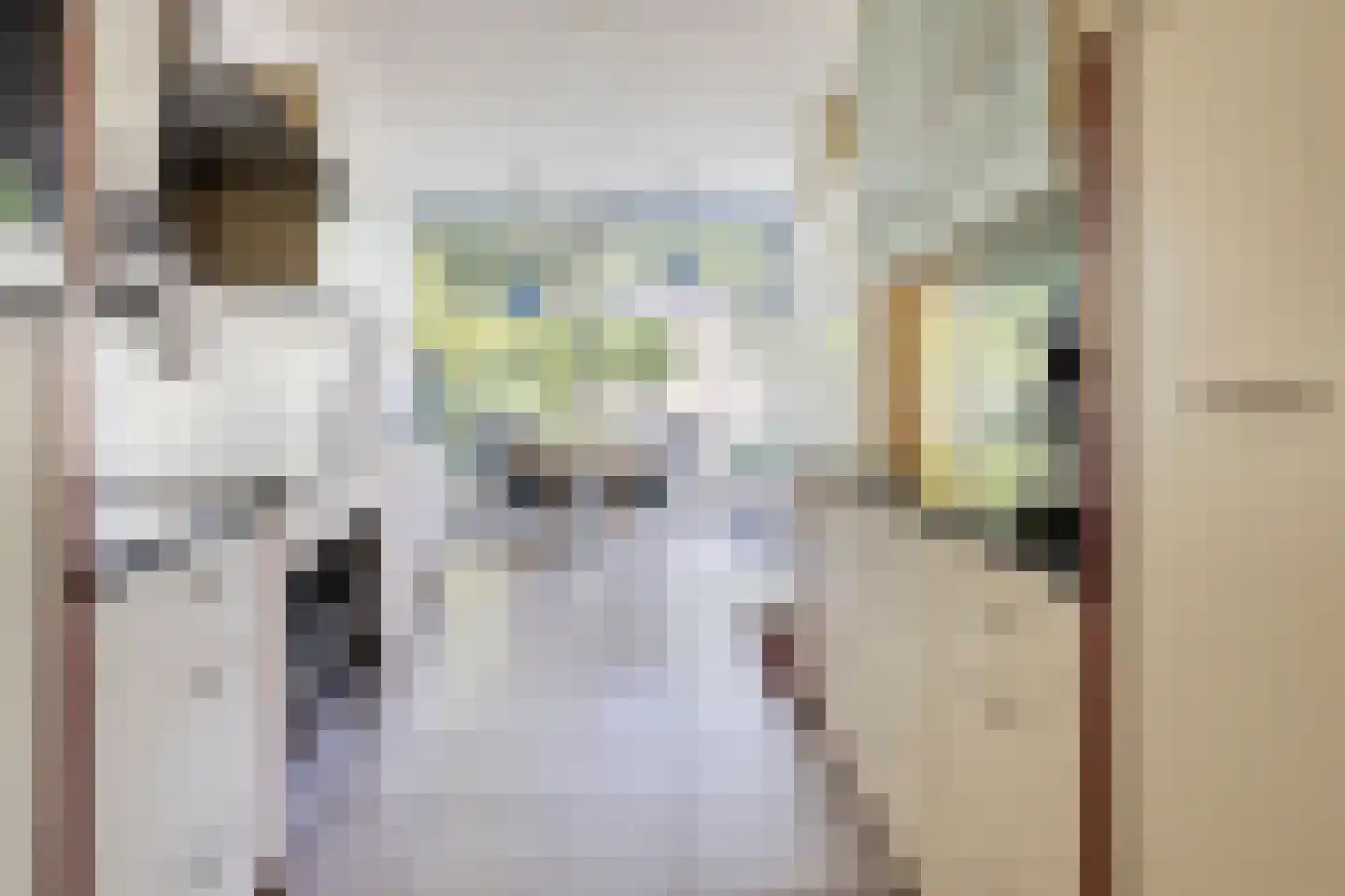 de Vang 43 Bergeijk thumbnail 18