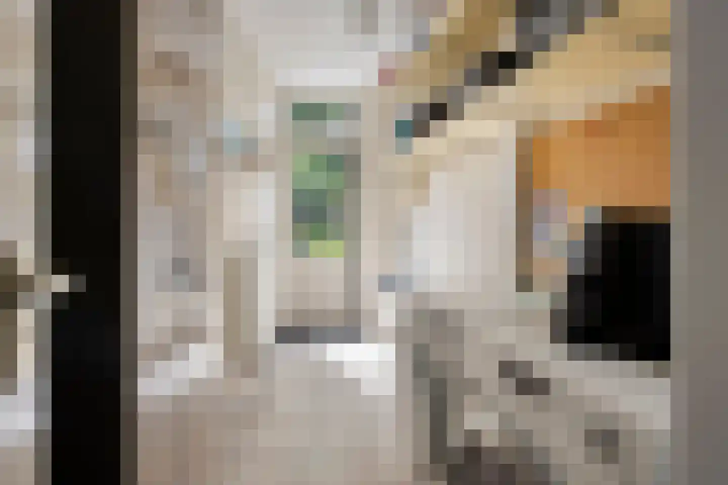 de Vang 43 Bergeijk thumbnail 19