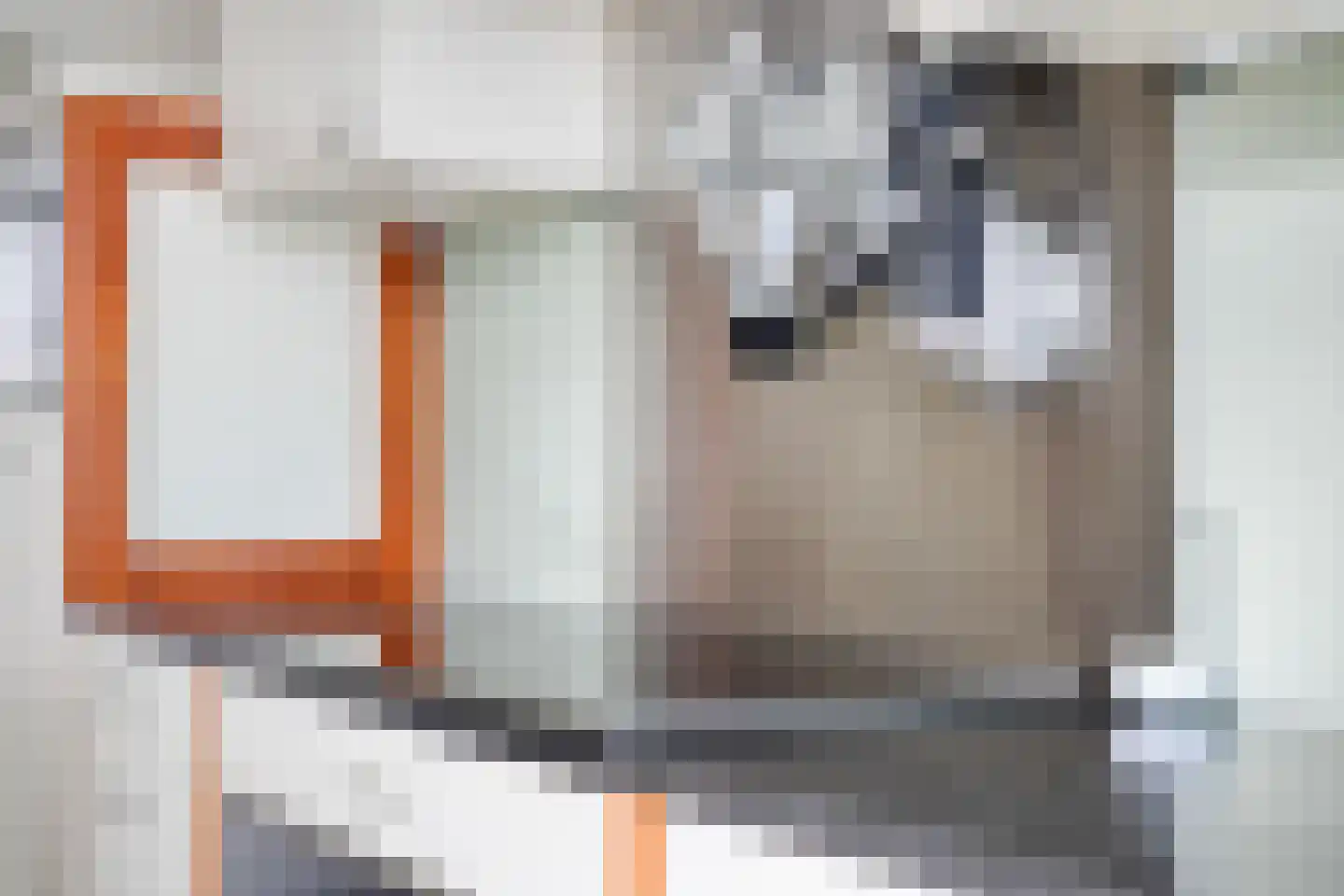de Vang 43 Bergeijk thumbnail 25