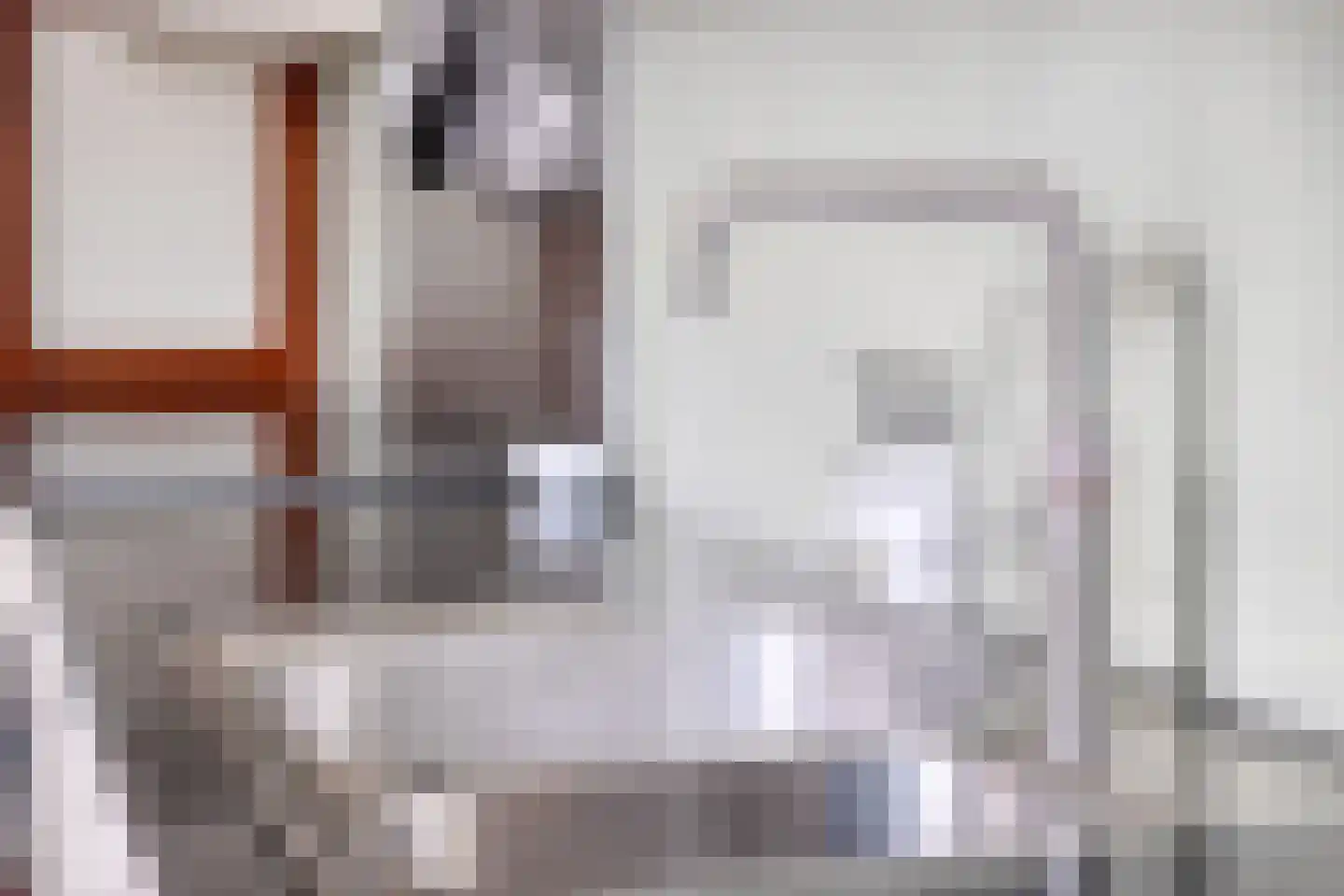 de Vang 43 Bergeijk thumbnail 26