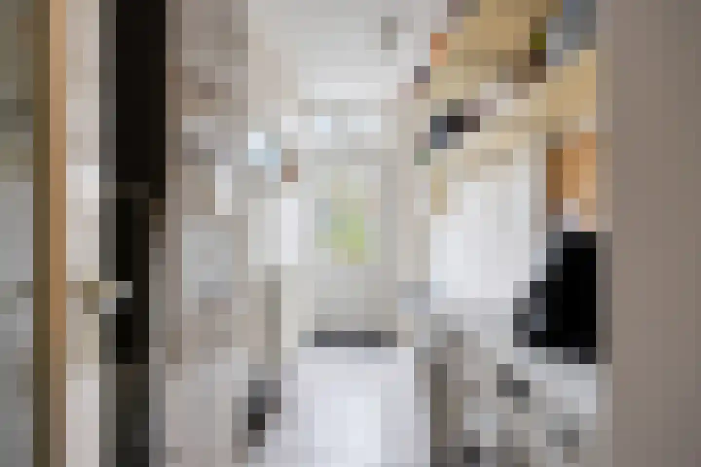 de Vang 43 Bergeijk thumbnail 28