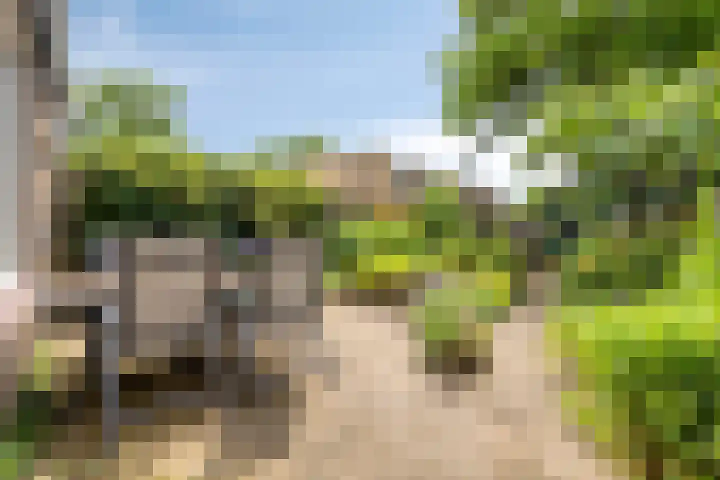 de Vang 43 Bergeijk thumbnail 29