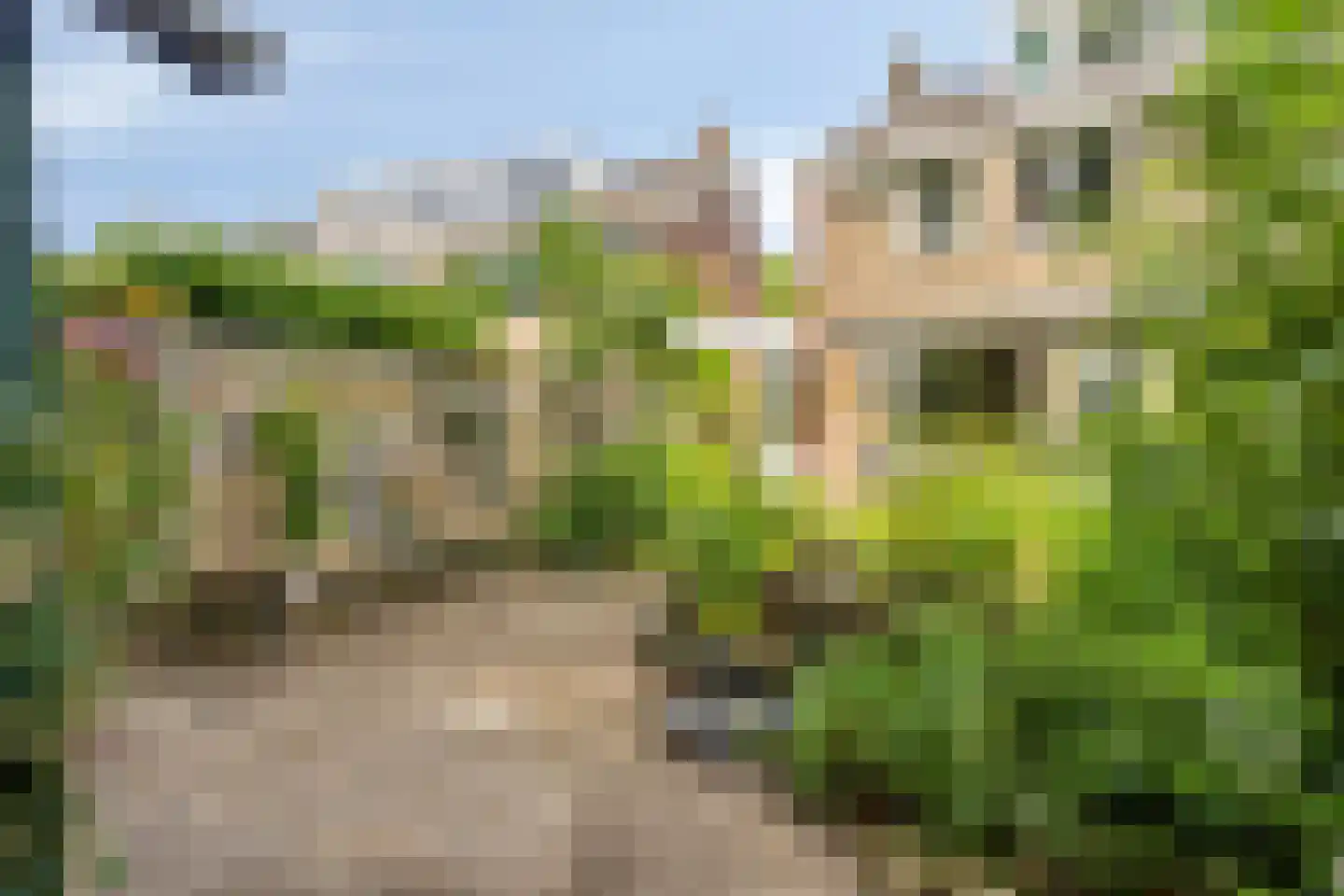 de Vang 43 Bergeijk thumbnail 31