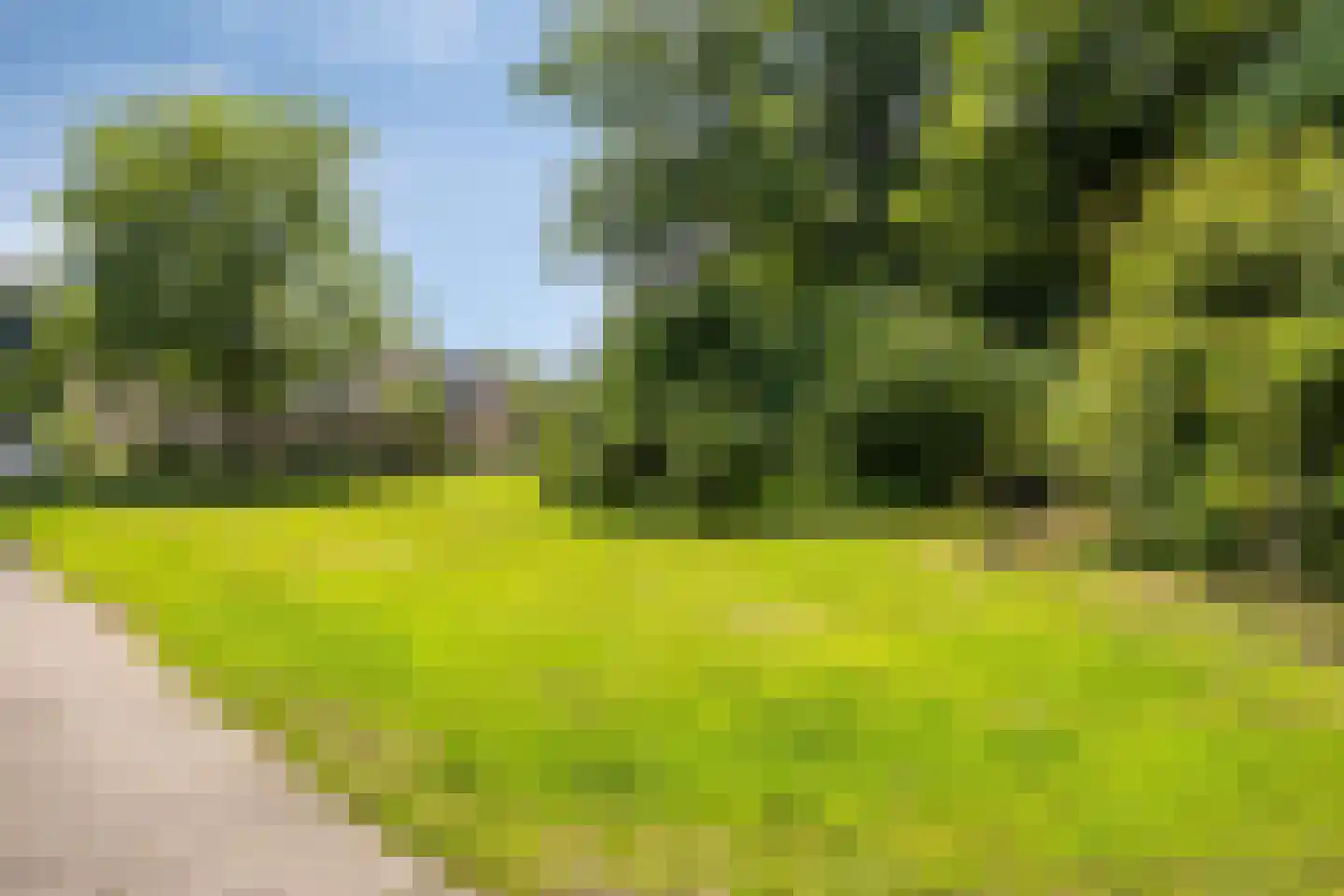 de Vang 43 Bergeijk thumbnail 32