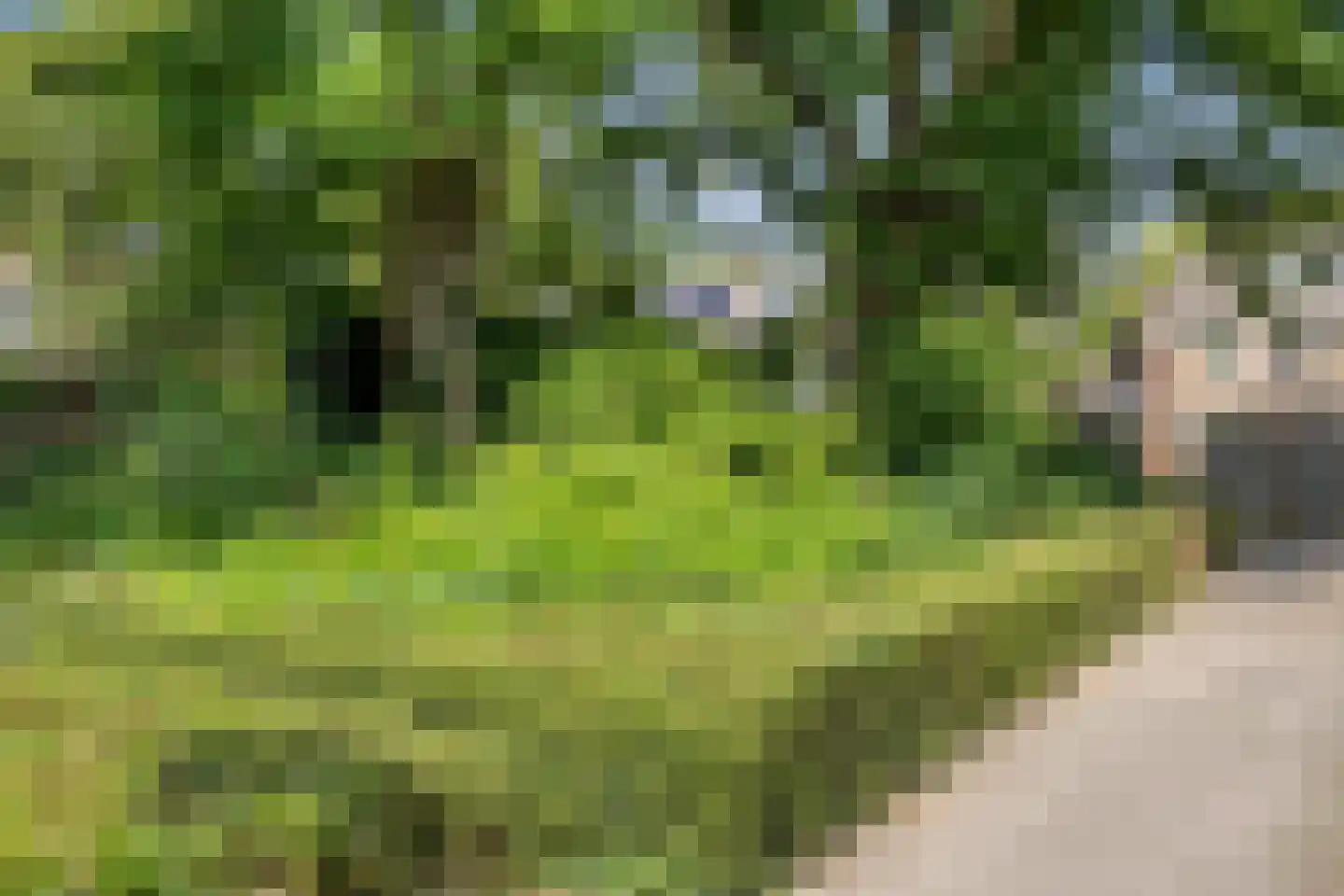 de Vang 43 Bergeijk thumbnail 33