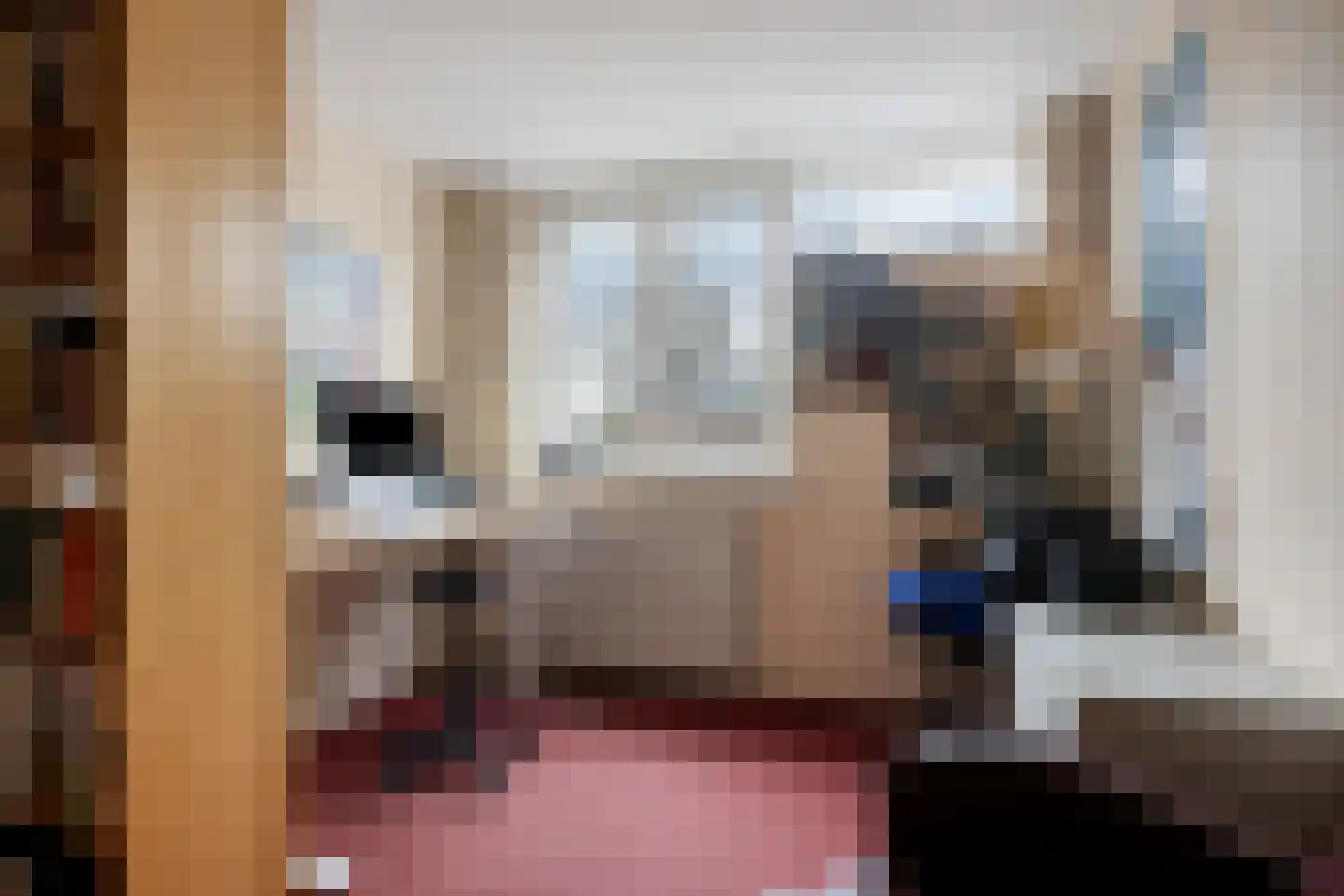 de Vang 43 Bergeijk thumbnail 35
