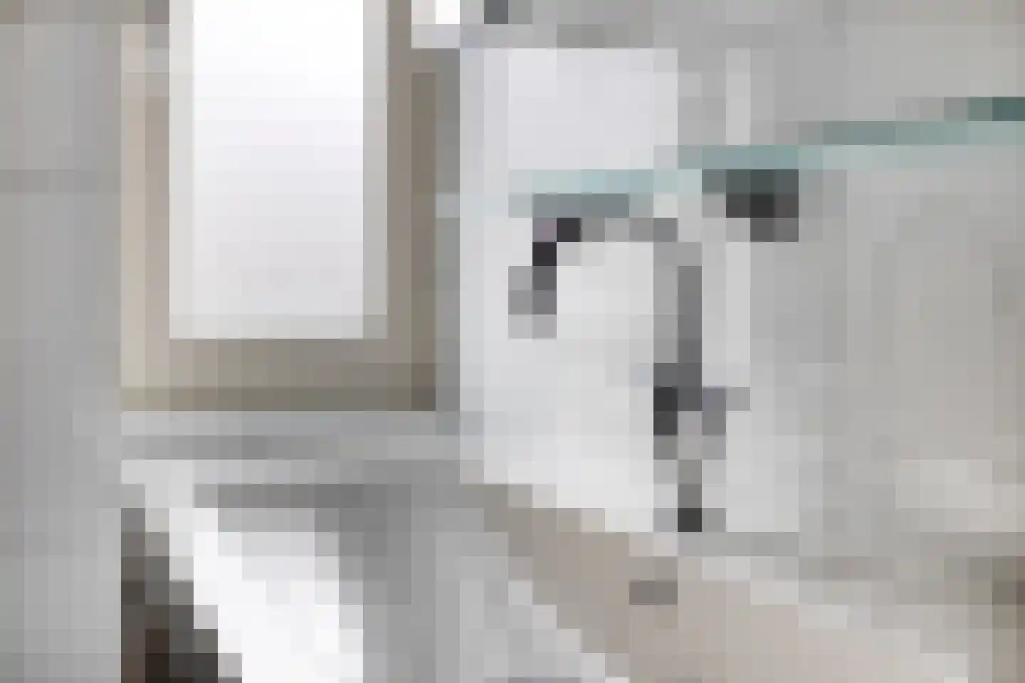 de Vang 43 Bergeijk thumbnail 43