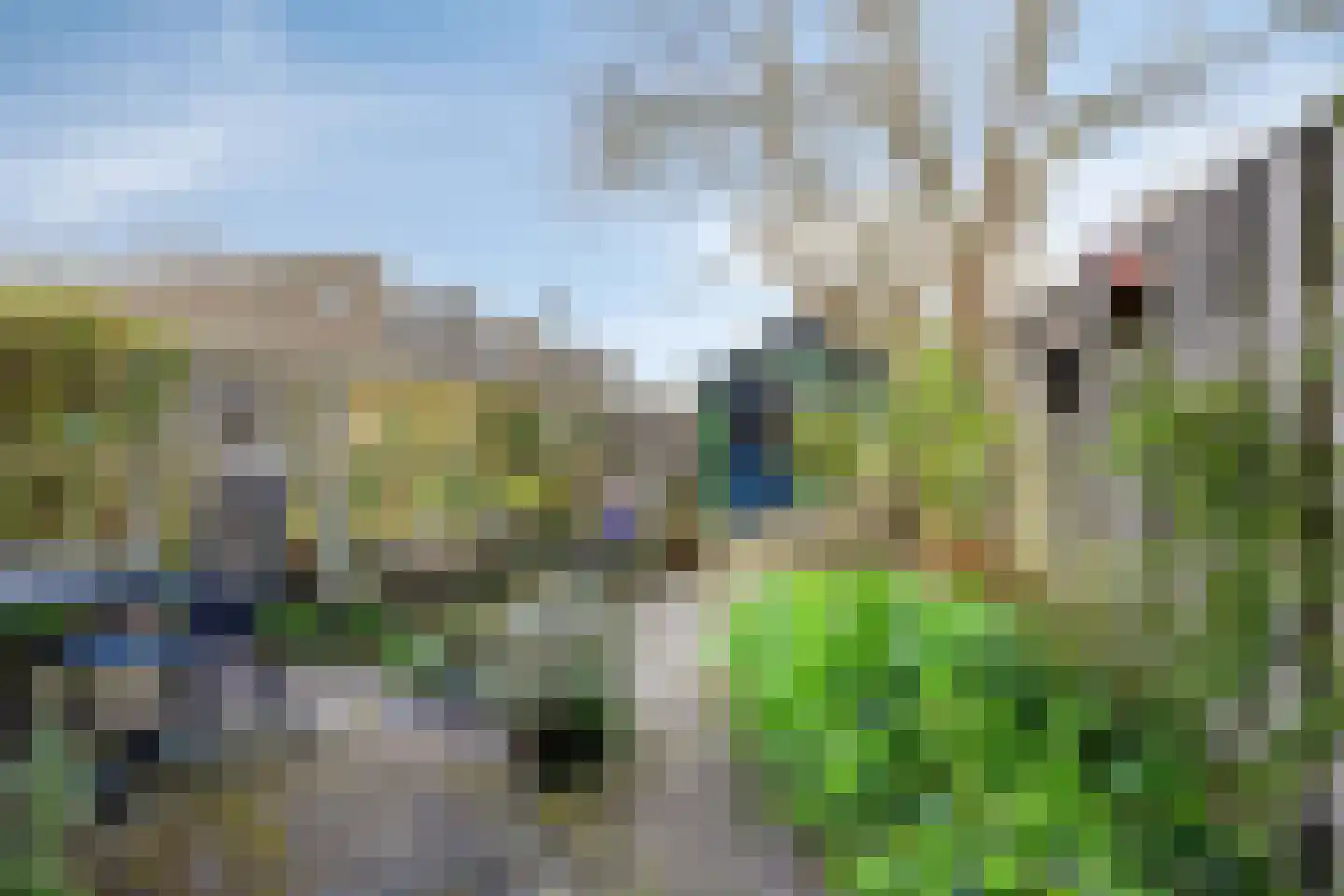 de Vang 43 Bergeijk thumbnail 49