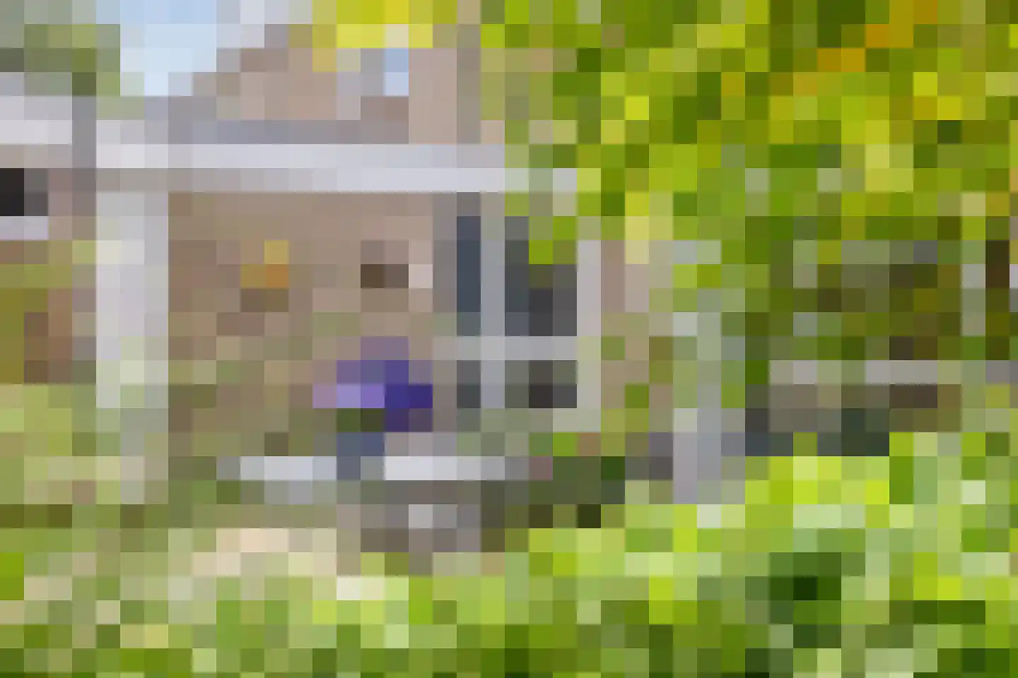 de Vang 43 Bergeijk thumbnail 6
