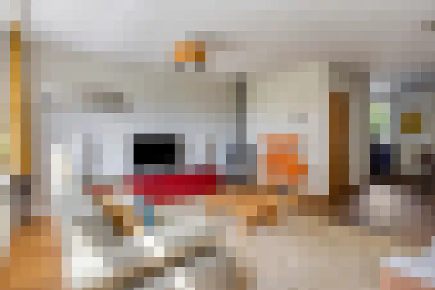 de Vang 43 Bergeijk thumbnail 9