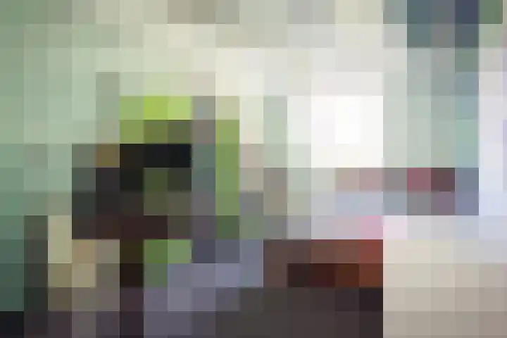 De Vang 43 Oudeschild thumbnail 12