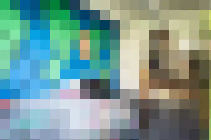 De Vang 43 Oudeschild thumbnail 13